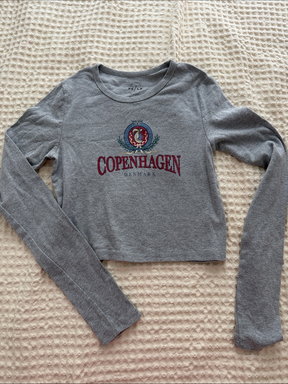 Pacsun Copenhagen Fitted Long Sleeve Cropped Top